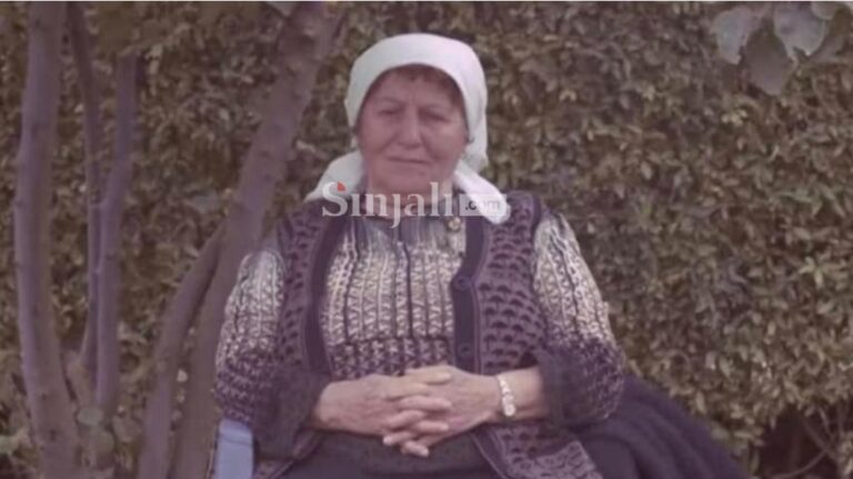 E dhimbshme: Vetura godet për vdekje të moshuarën në Drenas